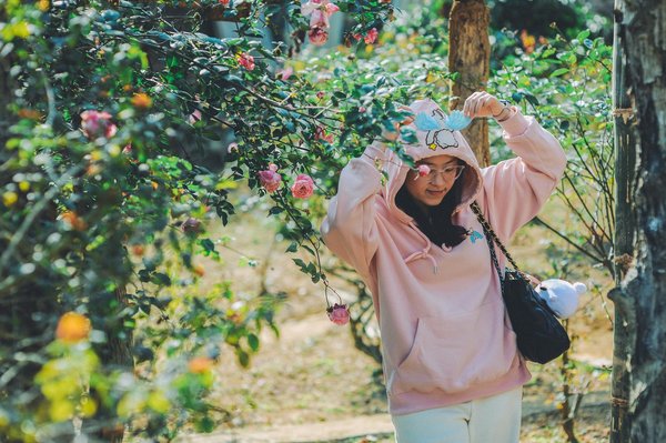 Solutions Technologiques Révolutionnaires pour Combattre le Changement Climatique